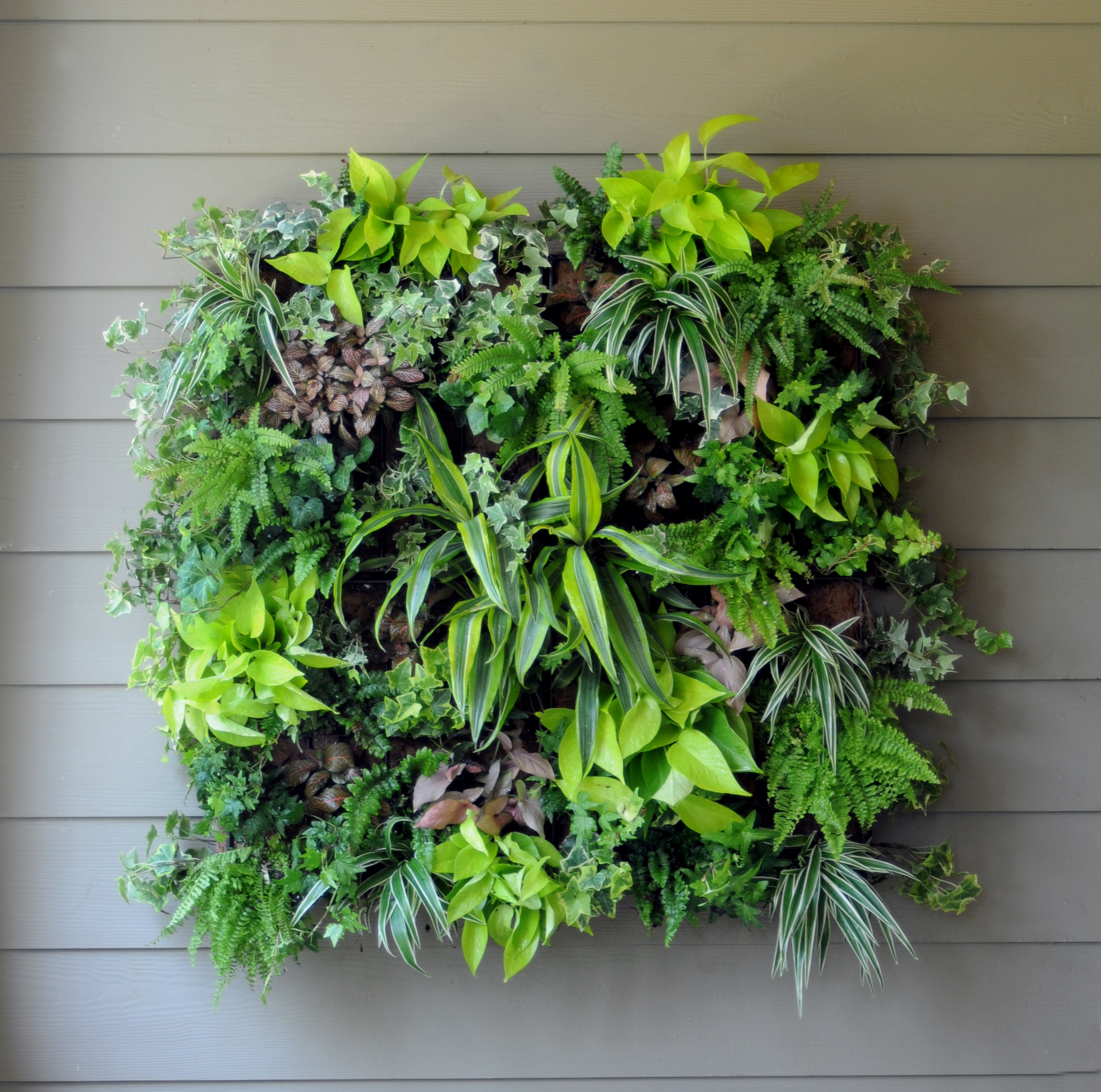 Vertical Gardening Lecture – Transforming Naked Walls with Nature ...
